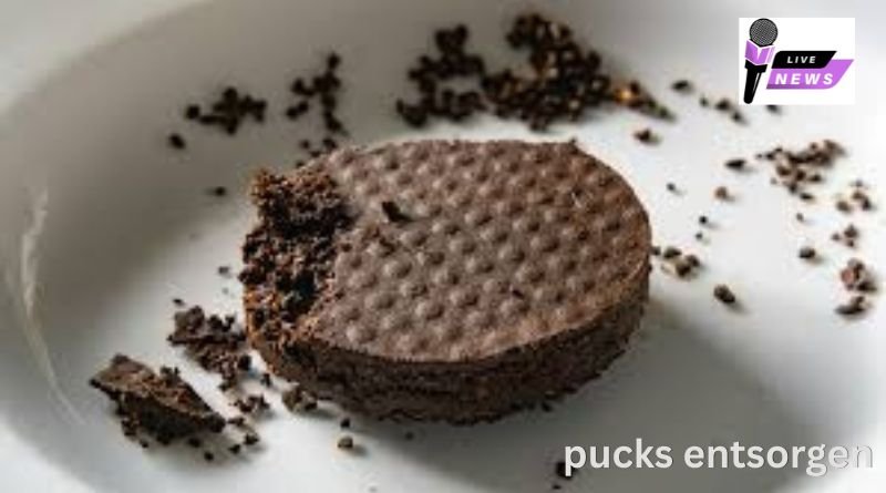 pucks entsorgen